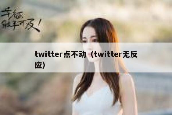 twitter点不动（twitter无反应） 第1张