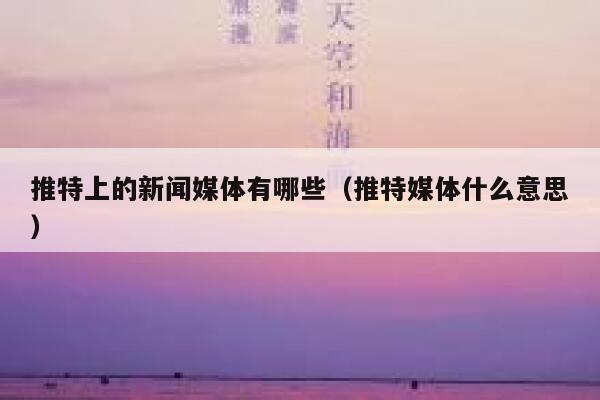 推特上的新闻媒体有哪些（推特媒体什么意思） 第1张