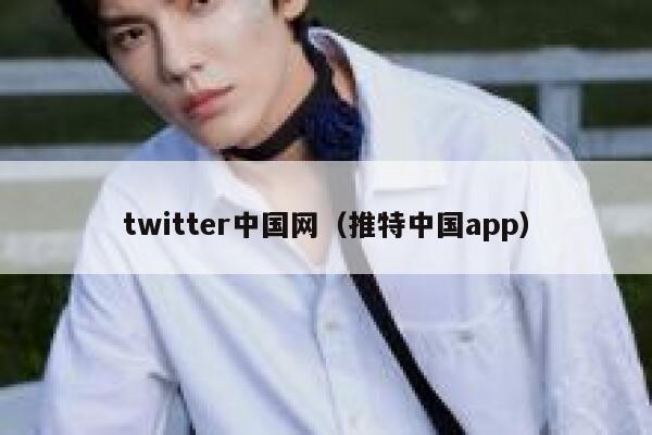 twitter中国网（推特中国app） 第1张