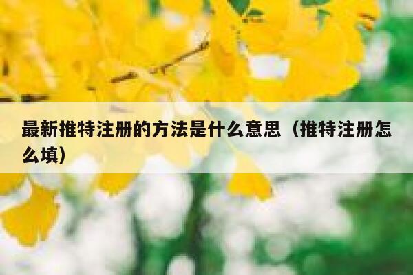 最新推特注册的方法是什么意思（推特注册怎么填） 第1张
