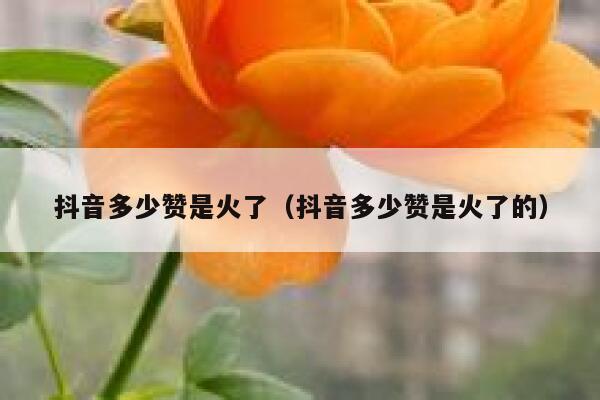 抖音多少赞是火了（抖音多少赞是火了的） 第1张
