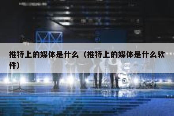 推特上的媒体是什么（推特上的媒体是什么软件） 第1张