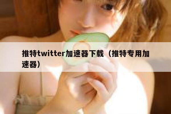 推特twitter加速器下载（推特专用加速器） 第1张