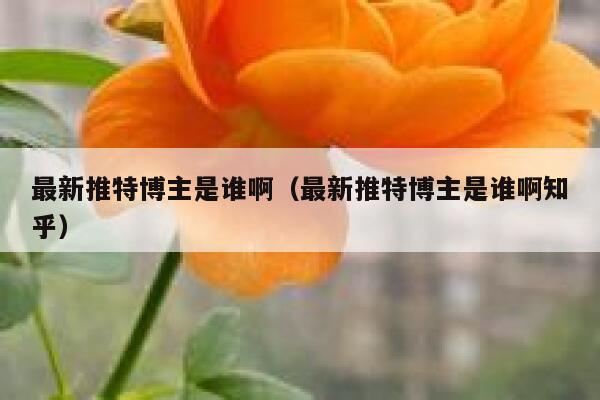 最新推特博主是谁啊（最新推特博主是谁啊知乎） 第1张