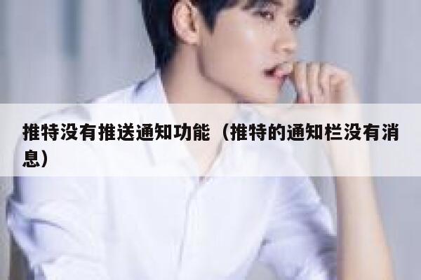 推特没有推送通知功能（推特的通知栏没有消息） 第1张