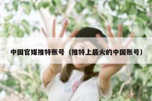 中国官媒推特账号（推特上最火的中国账号） 第1张