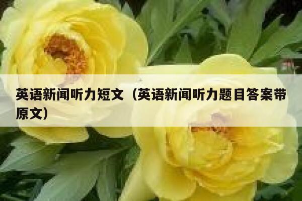 英语新闻听力短文（英语新闻听力题目答案带原文） 第1张