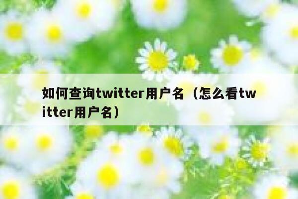如何查询twitter用户名（怎么看twitter用户名） 第1张