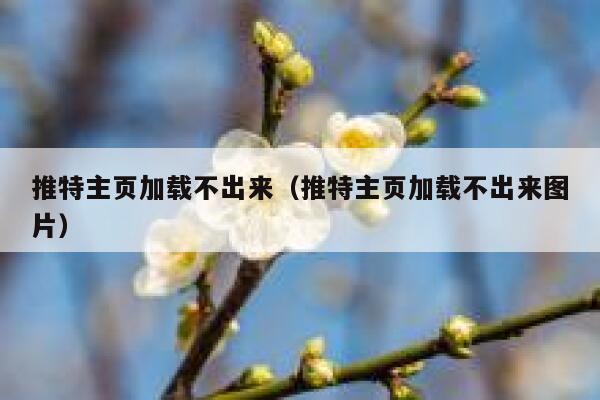 推特主页加载不出来（推特主页加载不出来图片） 第1张