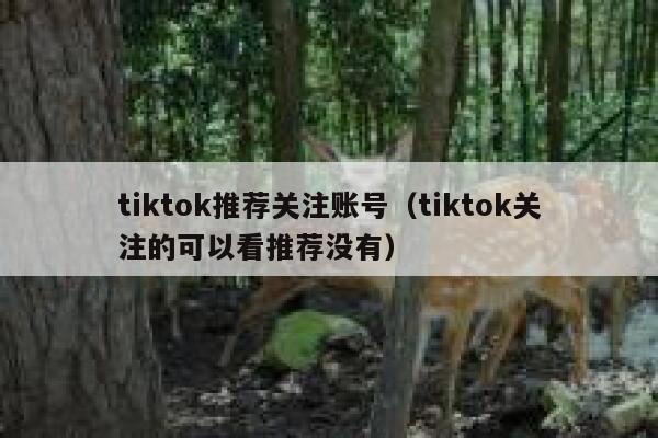 tiktok推荐关注账号（tiktok关注的可以看推荐没有） 第1张
