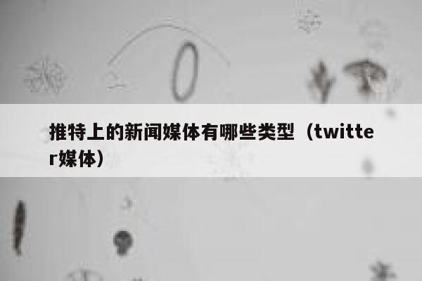 推特上的新闻媒体有哪些类型（twitter媒体） 第1张