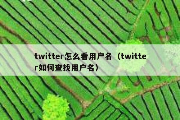 twitter怎么看用户名（twitter如何查找用户名） 第1张