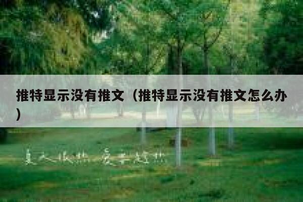 推特显示没有推文（推特显示没有推文怎么办） 第1张