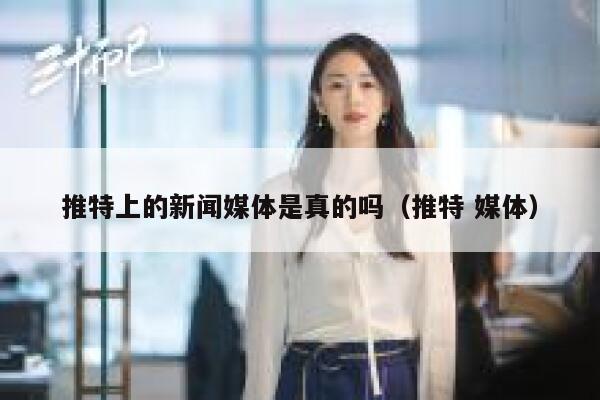 推特上的新闻媒体是真的吗（推特 媒体） 第1张