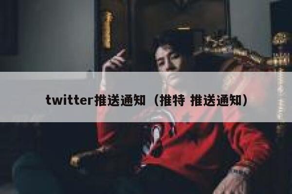 twitter推送通知（推特 推送通知） 第1张