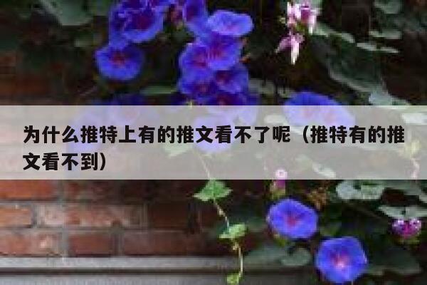 为什么推特上有的推文看不了呢（推特有的推文看不到） 第1张