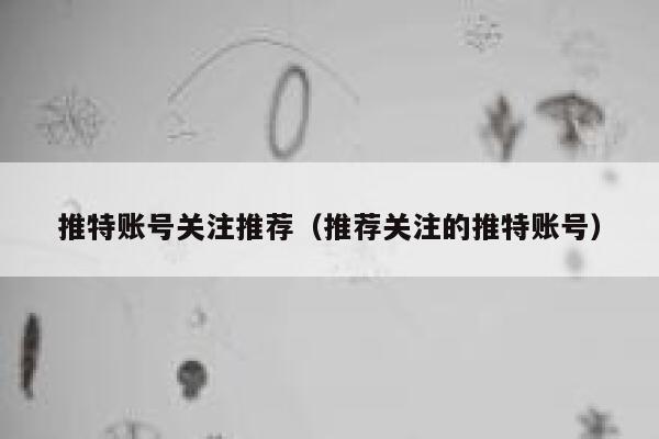 推特账号关注推荐（推荐关注的推特账号） 第1张