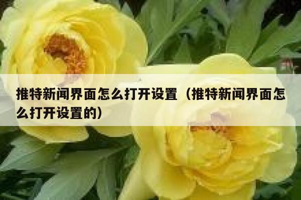 推特新闻界面怎么打开设置（推特新闻界面怎么打开设置的） 第1张