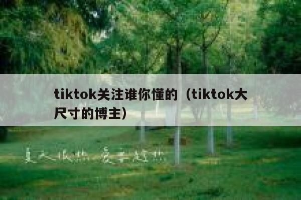 tiktok关注谁你懂的（tiktok大尺寸的博主） 第1张