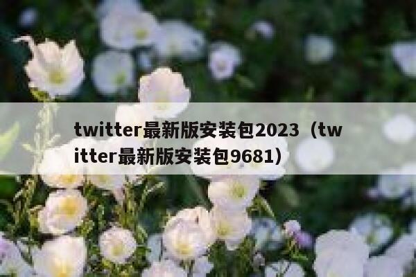 twitter最新版安装包2023（twitter最新版安装包9681） 第1张