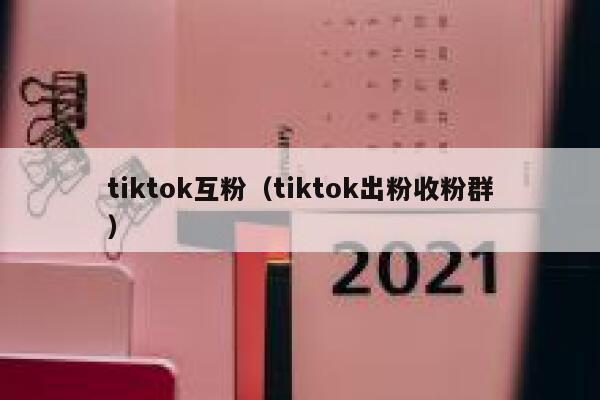 tiktok互粉（tiktok出粉收粉群） 第1张