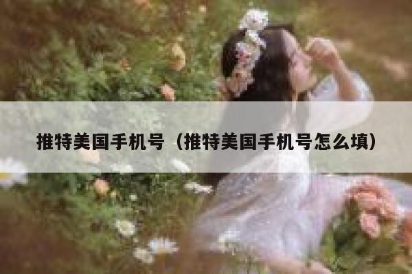 推特美国手机号（推特美国手机号怎么填） 第1张