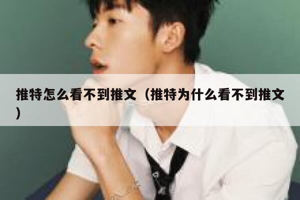推特怎么看不到推文（推特为什么看不到推文） 第1张