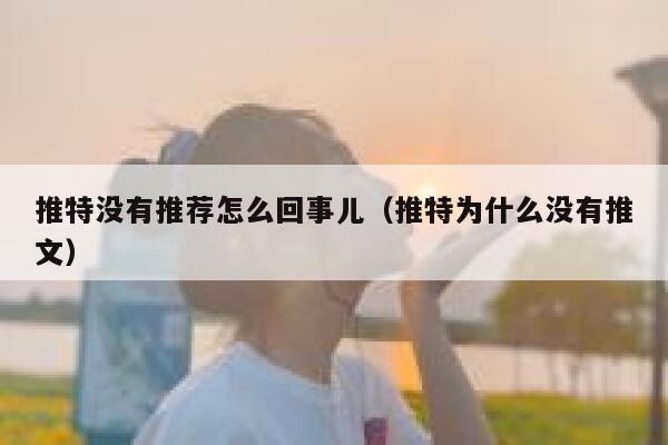 推特没有推荐怎么回事儿（推特为什么没有推文） 第1张