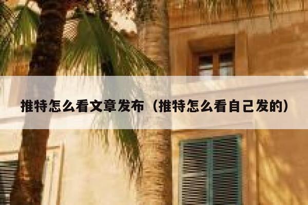 推特怎么看文章发布（推特怎么看自己发的） 第1张