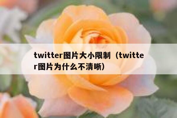 twitter图片大小限制（twitter图片为什么不清晰） 第1张