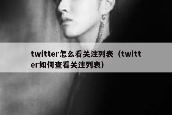 twitter怎么看关注列表（twitter如何查看关注列表） 第1张