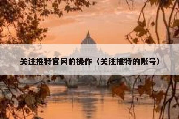 关注推特官网的操作（关注推特的账号） 第1张