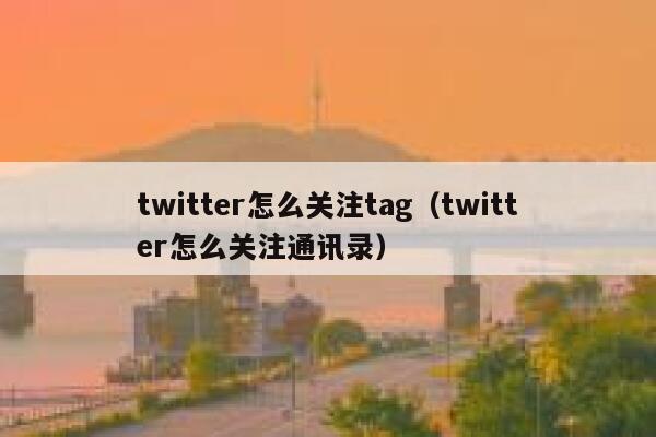 twitter怎么关注tag（twitter怎么关注通讯录） 第1张