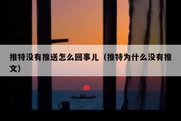 推特没有推送怎么回事儿（推特为什么没有推文） 第1张