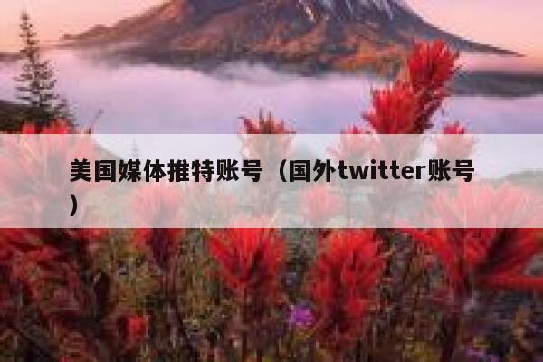 美国媒体推特账号（国外twitter账号） 第1张