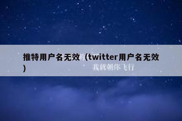 推特用户名无效（twitter用户名无效） 第1张
