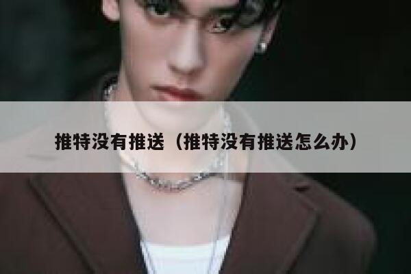 推特没有推送（推特没有推送怎么办） 第1张
