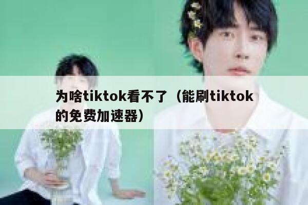 为啥tiktok看不了（能刷tiktok的免费加速器） 第1张