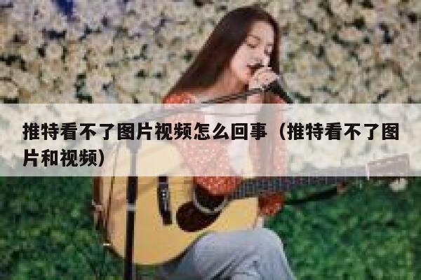 推特看不了图片视频怎么回事（推特看不了图片和视频） 第1张