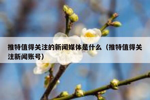 推特值得关注的新闻媒体是什么（推特值得关注新闻账号） 第1张