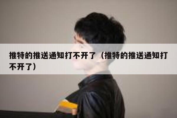 推特的推送通知打不开了（推特的推送通知打不开了） 第1张