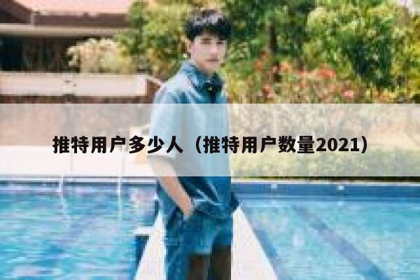 推特用户多少人（推特用户数量2021） 第1张