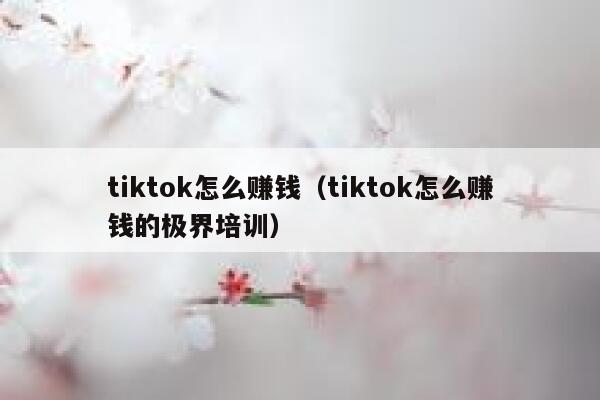 tiktok怎么赚钱（tiktok怎么赚钱的极界培训） 第1张