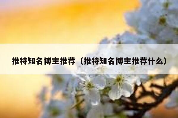 推特知名博主推荐（推特知名博主推荐什么） 第1张