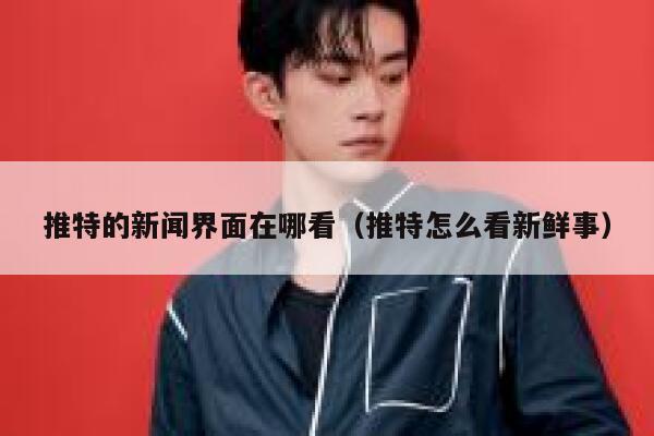 推特的新闻界面在哪看（推特怎么看新鲜事） 第1张