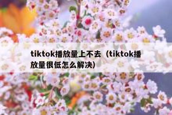 tiktok播放量上不去（tiktok播放量很低怎么解决） 第1张
