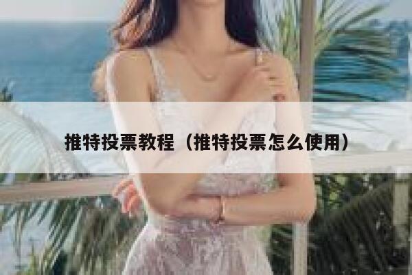 推特投票教程（推特投票怎么使用） 第1张
