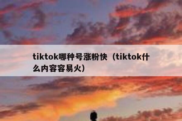 tiktok哪种号涨粉快（tiktok什么内容容易火） 第1张