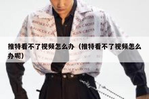 推特看不了视频怎么办（推特看不了视频怎么办呢） 第1张