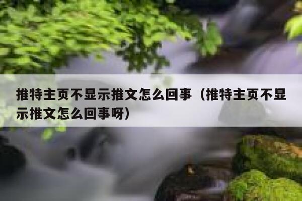 推特主页不显示推文怎么回事（推特主页不显示推文怎么回事呀） 第1张